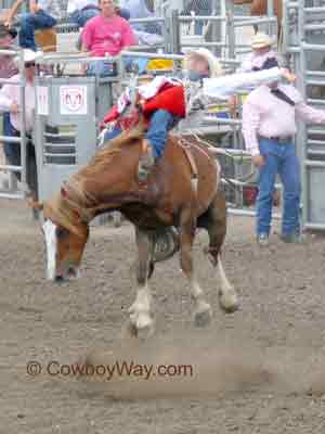 Rodeo.BarebackBroncRiding