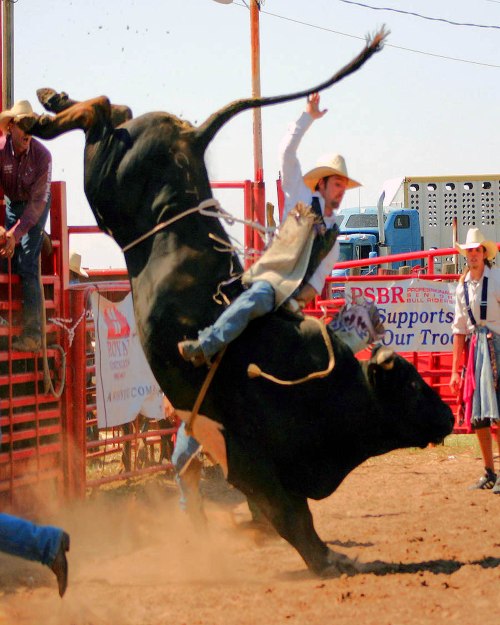rodeo.bull.riding