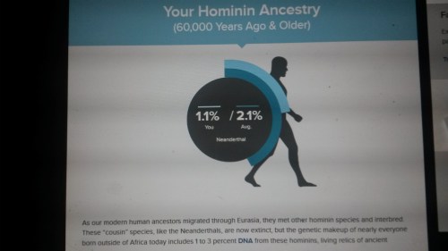 Ancestors.Neanderthal